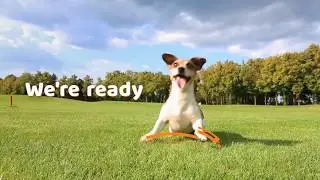 We Supercharge Your Body