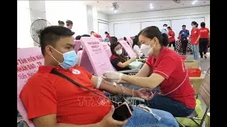 HCM City to build second blood bank