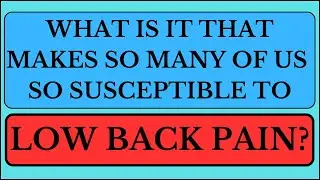 LOW BACK PAIN, POSTURE, CHAIRS AND SEDENTARY LIFESTYLES - WHAT ARE THE CONNECTIONS?