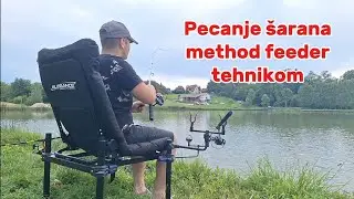 Pecanje šarana - method feeder tehnikom / jezero peca mladenovac