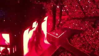 Reputation Gillette Stadium July 26