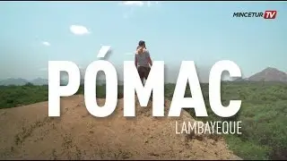 Crónicas de un viajero | Bosque de Pómac