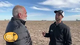 Incorporación de urea para siembra de trigo - Las Rosas (Santa Fe)