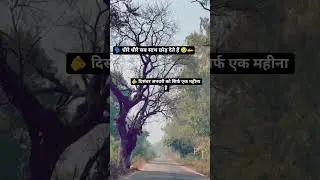 sad video song heart ❤️&zwj;🩹😭🥀#youtubeshorts#viralvideo#shyri #brekapstatus#love#tension