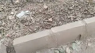 &ldquo;Bored One Day, Exploring Bangalore the Next&rdquo;