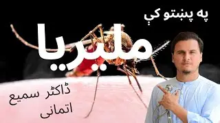 Malaria explained in Pashto.  ملیریا سہ شے دے ۔