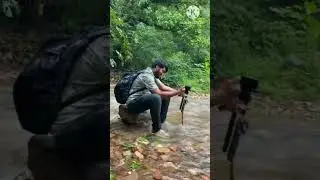 Indian forest tracking