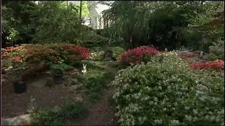 Fun ways to explore your own backyard | Camp GPB