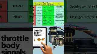 Throttle Body Signals | @Custom Motor Garage.