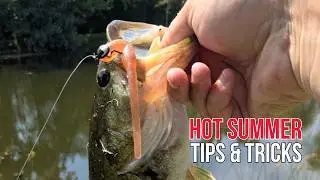 Late Summer Bass Fishing Tips for Creeks, Rivers, and Lakes