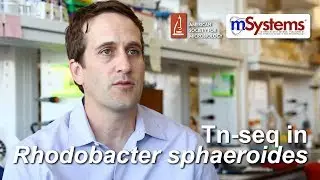 Tn-seq in Rhodobacter sphaeroides - mSystems&reg;