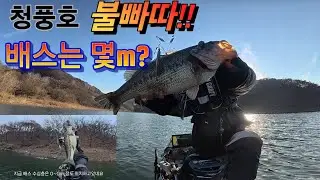 청풍호 스쿨링 시작 #fishing #fish #bass #낚시 