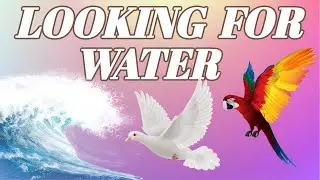 Looking for water by Pratibha Nath| class-1| English|Story|