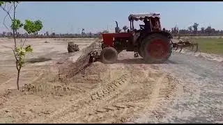 Topiaries of Black ficus on Green Belt at Ajwa Residencia Renala Khurd District okara.