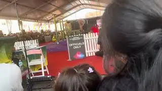 Hung hing lion dance Sydney 