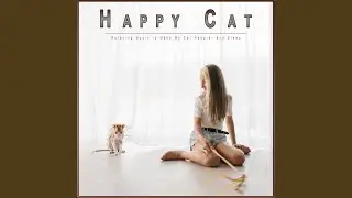 Cat Music Dreams
