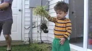 GreatKid