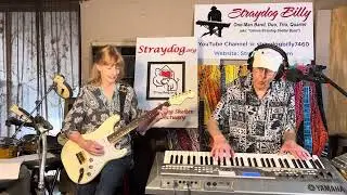Where You Going? &ndash; written by Straydog Billy &ndash; Song 1981 &ndash; PLEASE spay/neuter your dogs and cats!!