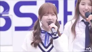 Wonrin & Sinrin - Similarities