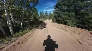 Epic Camping Spot - FS323 / Ice Cave Trail
