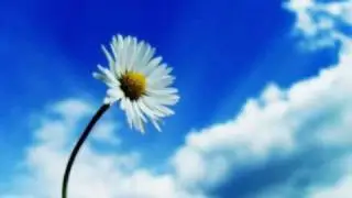 Love Movement (Ulrich Schnauss Remix)