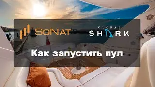 SoNat - Как запустить POOL SN10 и SN5 Инструкции для команды GlobalShark