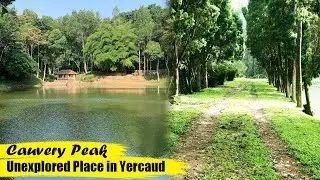 Unexplored Hidden Lake in Yercaud | Cauvery Peak | After Lockdown Trip | Aramentals Vlog | Tamil