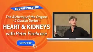 Course 1, Preview 1: The Alchemy of the Organs - Heart & Kidneys with Peter Firebrace