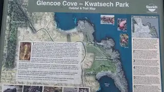 Glencoe Cove Trail Walk | Hidden Beach on Vancouver Island 🌊🌲 Canada