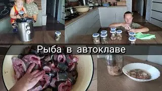 Консервы из линя в автоклаве fansel