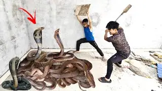 Brave Hunter Rescues Young Man Attacked by 100 Ferocious Dragon Snakes in an Abandoned House