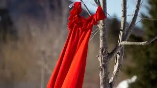 15th annual Red Dress Day remembering First Nations women, girls