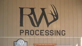 In the Hunt - Taxidermy in South Texas