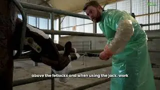 Managing a difficult calving