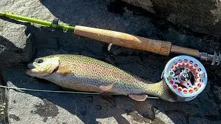 Fly Fishing North Georgia 12.21.25 PT3