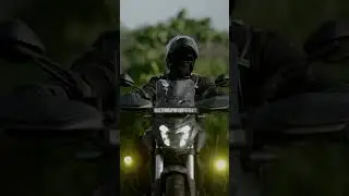 Your ROAD Buddy