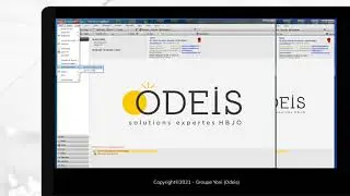 Webinar gestion des confiés - Odeis Retail