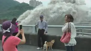 Best Dam Water Release Videos | Dam Water Discharge | Scary Dam Water Release | Dam Overflow Videos