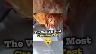 World's Most Creative Test! 😲