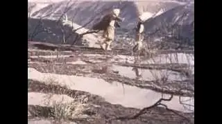 Андриеш