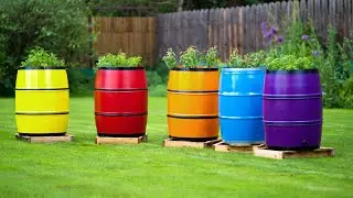 DIY Container Small Garden Design 2025 | Small Space Planting Ideas