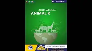 International Animal right day #animalday #saveforest #animal #pets #wildanimals #knowledge #school