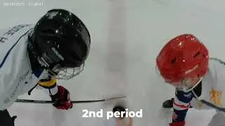 Ref POV Bulldogs Liège vs Liedekerke Lions D4