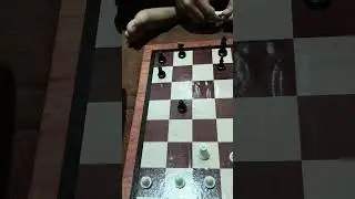 Queen and Rook trap 