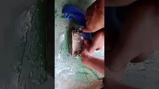 jaguar  XF auto transmission oil coolant mixing  gear shifting problem.?