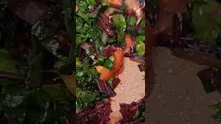 Healthy Beetroot Leaves Recipe/ How To Cook Beet Greens with Stems#Shorts