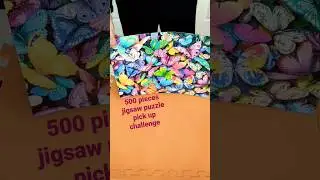 🦋 500 Pieces Double Sided Jigsaw Puzzle Pick Up Challenge!