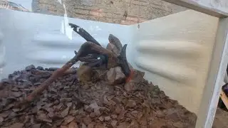 Caixa Aquário de 500 litros - Parte 4 - Montando o Hardscape do aquário