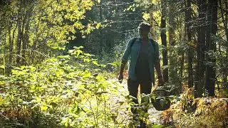 The Final Harvest | Foraging Wild Mushrooms, Chicken Foresti&egrave;re& the First Snow