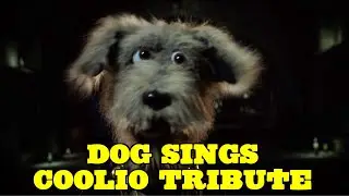 DOGS COOLIO TRIBUTE - THE UNDERDOGS SHOW